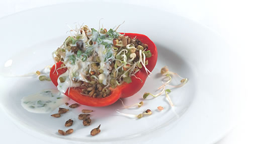 Rohkostsalat_net grosses Bild